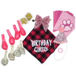 KIT DE FIESTA ROSA