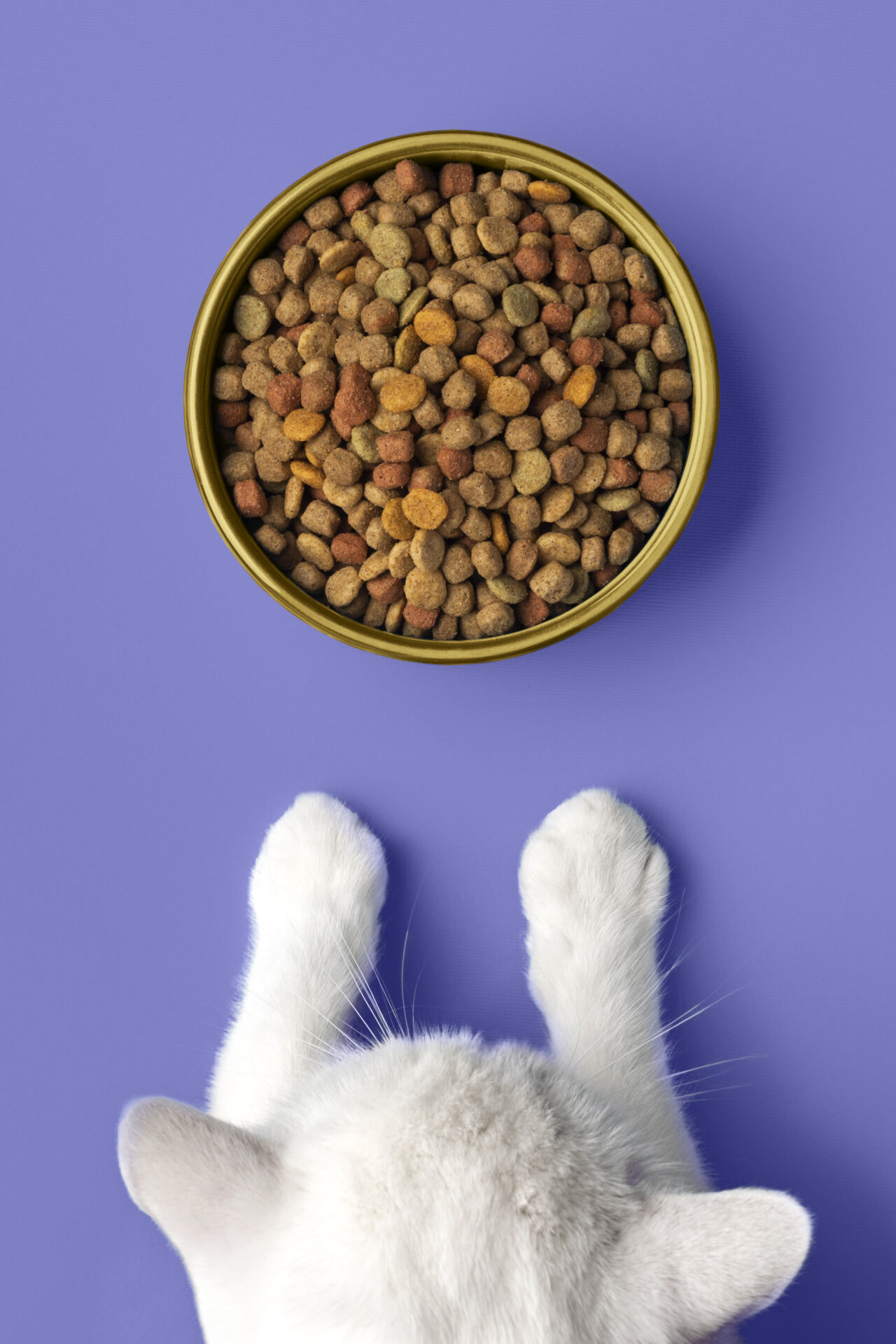 Nutrición